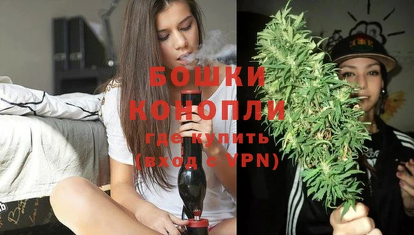 2c-b Горняк