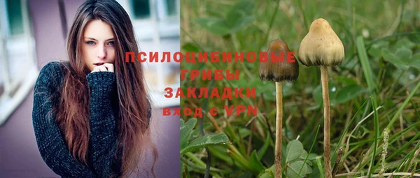2c-b Горняк